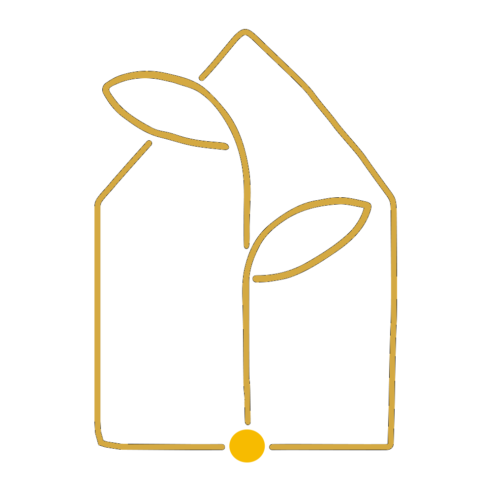 Seed